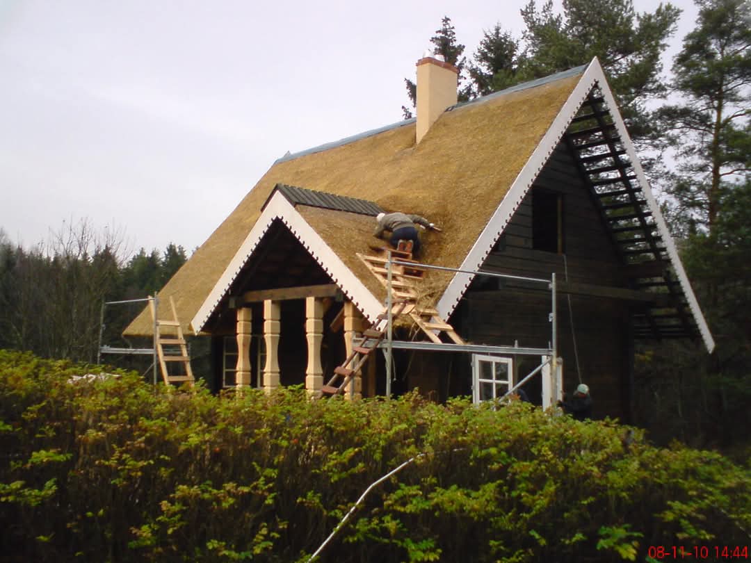 Thatch Entertainment Area - Zebra Thatch